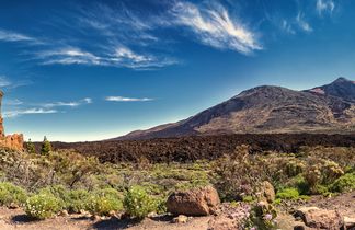 Panoramablick auf den Teide, umgeben von vulkanischem Gestein und grünen Pflanzen im Vordergrund.