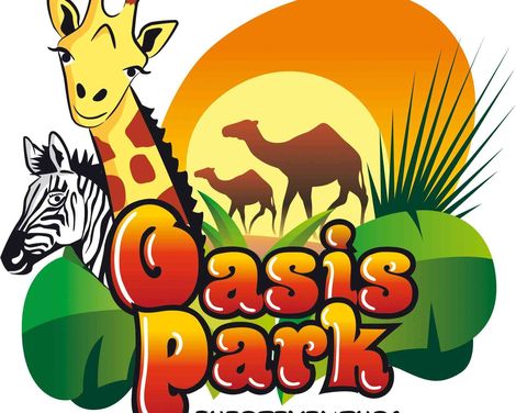 Iberostar Waves Gaviotas Park