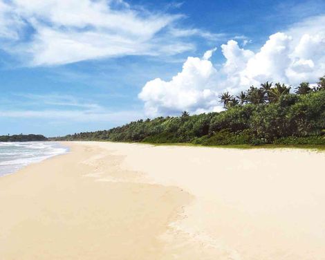 Pullman Bentota Resort and Spa