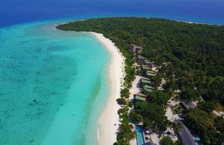 The Barefoot Eco Hotel