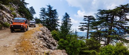 Zwei Geländewagen bei einer Jeep-Safari auf einer Schotterstraße durch bergige Waldlandschaft