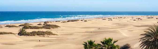 Weite Sanddünenlandschaft mit vereinzelten Palmen und blauem Meer im Hintergrund auf Gran Canaria