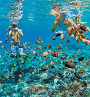 Zwei Schnorchler im klaren Wasser beobachten bunte tropische Fische über einem Korallenriff
