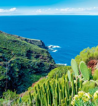 Blick auf grüne Klippen mit Kakteen und den blauen Atlantik bei La Palma