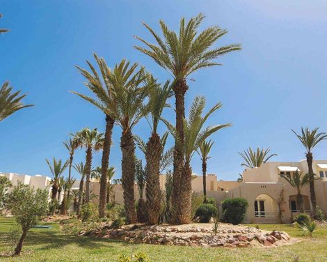 Hotel Telemaque Beach & Spa