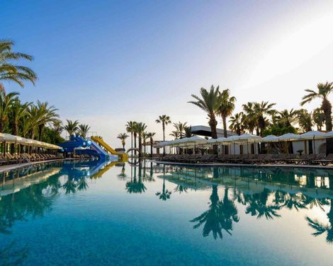 Calido Sol Hotel