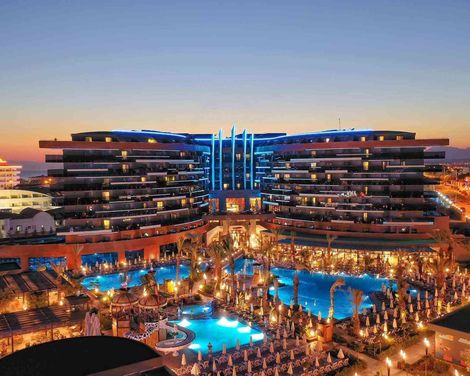 Calyptus Kirman Premium