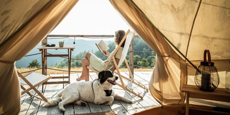 Person liest ein Buch auf einer Holzterrasse vor einem Zelt, daneben liegt ein Hund