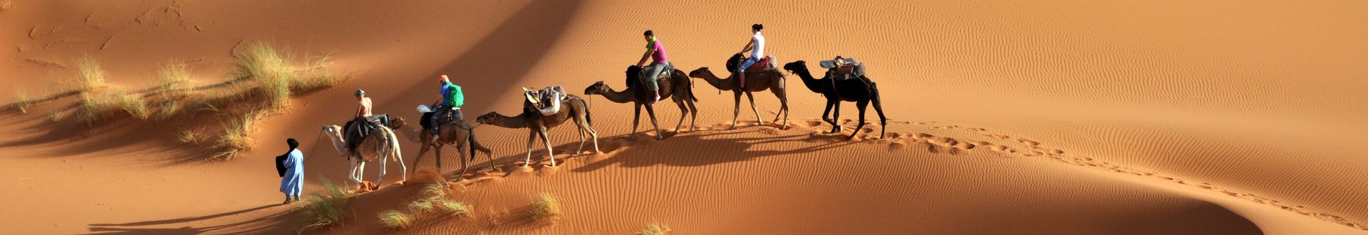 Sieben Kamele mit Reitern und Führer in einer Reihe auf Sanddünen in der Wüste