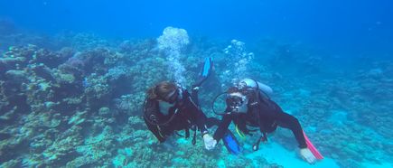 Zwei Taucher in schwarzer Ausrüstung schwimmen über einem Korallenriff im klaren blauen Wasser.