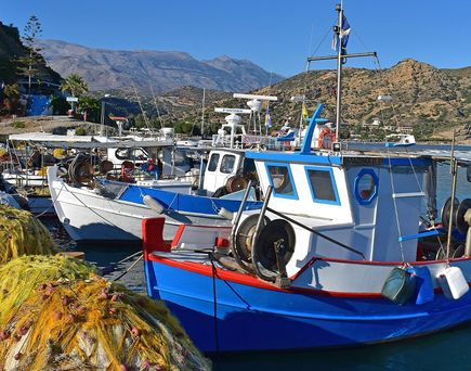 Fischerboote mit blauen Rümpfen liegen an einem Hafen, im Vordergrund liegen gelbe Fischernetze auf dem Kai, im Hintergrund Hügel und ein Gebäude.