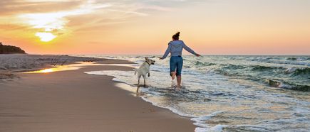 Person läuft am Strand entlang und spielt mit einem Hund im seichten Wasser bei Sonnenuntergang