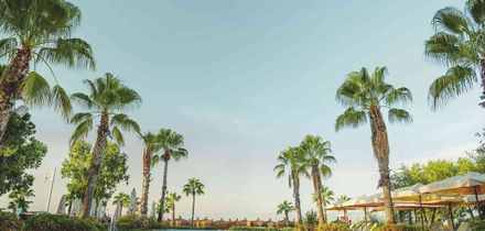 Ali Bey Resort Sorgun