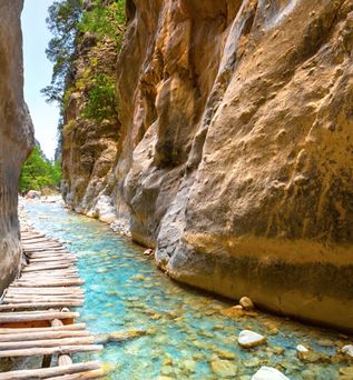 Ein enger Canyon mit hohen, glatten Felswänden wird von einem klaren, flachen Bach durchzogen. Rechts daneben liegt ein schmaler Steg aus Holzstämmen am Ufer.