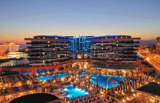 Calyptus Kirman Premium