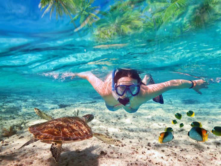 Frau mit Schnorchel und Taucherbrille schwimmt unter Wasser zwischen einer Meeresschildkröte und bunten tropischen Fischen