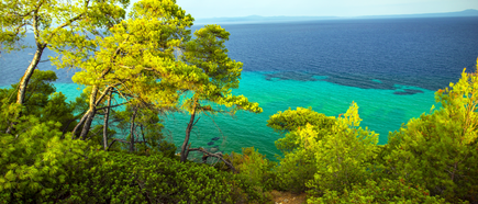Küstenlandschaft mit grünen Bäumen im Vordergrund und türkisblauem Meer im Hintergrund