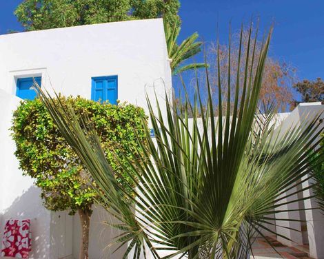 Royal Karthago Resort & Thalasso