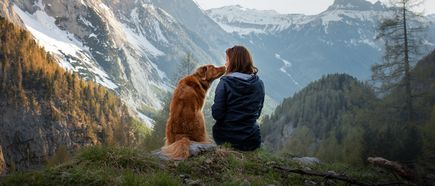 Person sitzt gemeinsam mit einem Hund auf einem Felsen in alpiner Berglandschaft, umgeben von bewaldeten Berghängen und schneebedeckten Gipfeln im Hintergrund