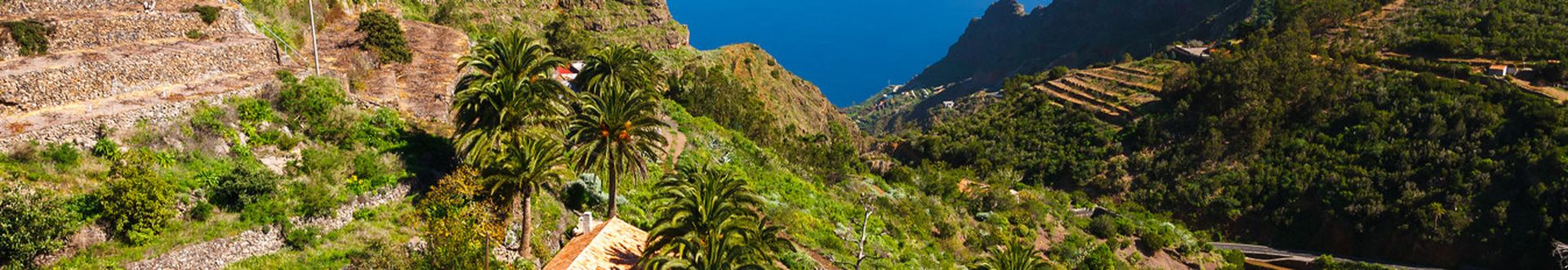 Terrassierte Hänge mit Palmen und einem kleinen Haus vor einem blauen Meer und Inseln am Horizont