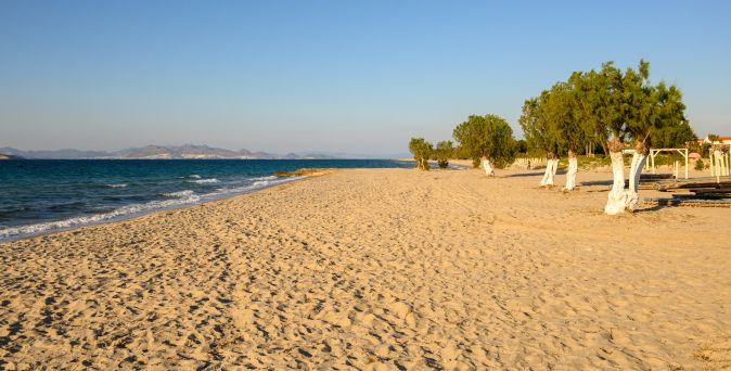 Breiter Sandstrand mit vereinzelten Bäumen am Ufer und ruhigem Meer im Hintergrund am Kos Marmari Strand