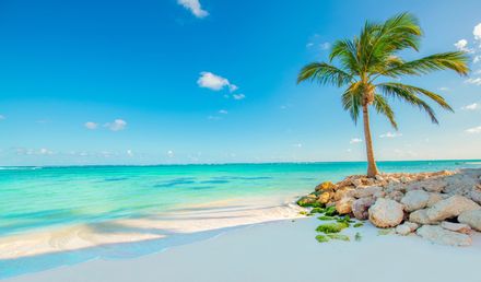 Karibischer Strand an der Playa Blanca in der Dominikanischen Republik mit weißem Sand, türkisem Meer und einer einzelnen Palme am Ufer