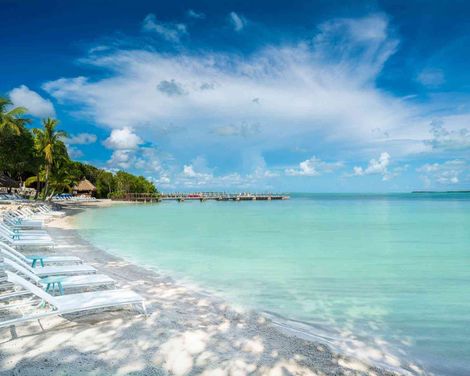 Baker's Cay Resort Key Largo, Curio Collection by Hilton