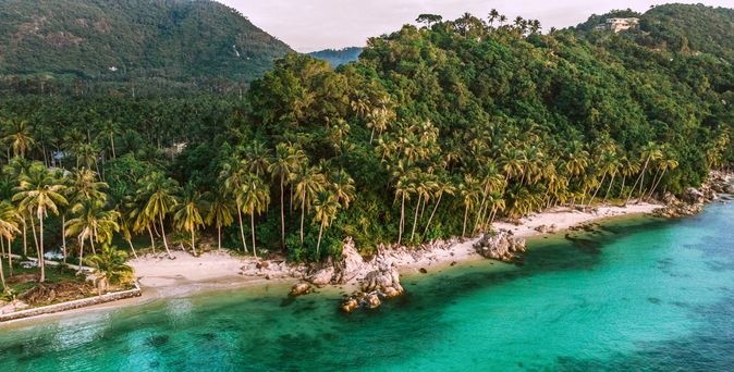 Tropischer Strande mit dichtem Palmenwald, Felsen am Ufer und türkisfarbenem Meer 