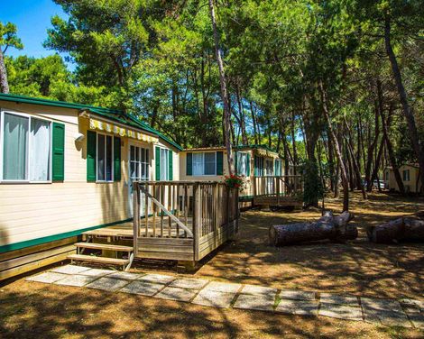 Arena Indije Campsite