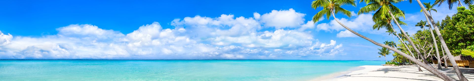 Karibischer Sandstrand mit türkisfarbenem Meer, palmengesäumter Küste und flachem Ufer unter blauem Himmel mit weißen Wolken