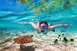 Taucher schwimmt unter Wasser über einem Sandboden mit einer Meeresschildkröte und mehreren bunten tropischen Fischen