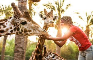Oasis Wildlife Fuerteventura R2 Pajara Beach