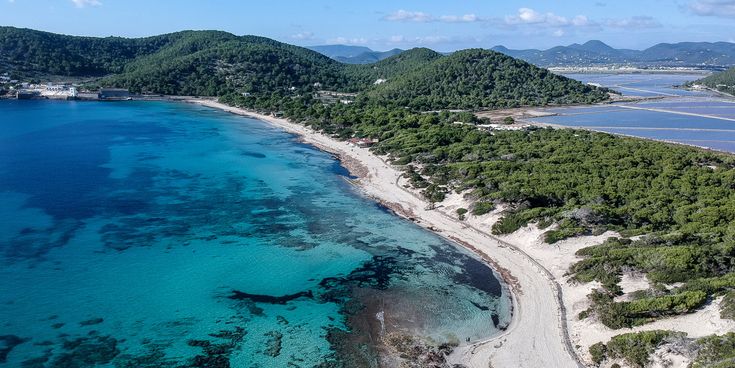 Strand Ses Salines auf Ibiza mit türkisblauem Wasser, Pinienwald und Salzbecken im Hintergrund