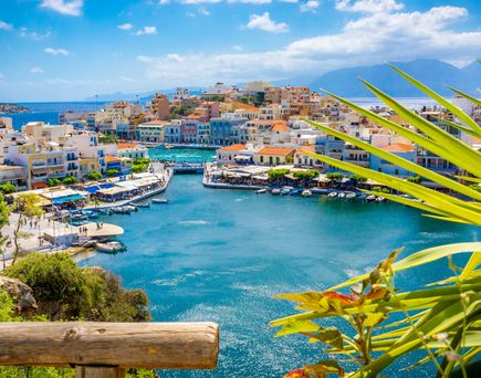 Blick auf eine Küstenstadt mit bunten Gebäuden, Yachten im Wasser und Bergen im Hintergrund. Im Vordergrund sind grüne Pflanzen zu sehen.