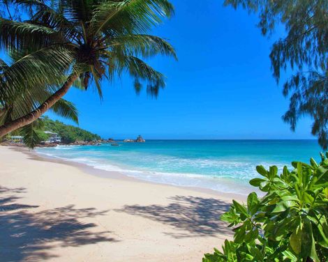 Anse Soleil Beachcomber