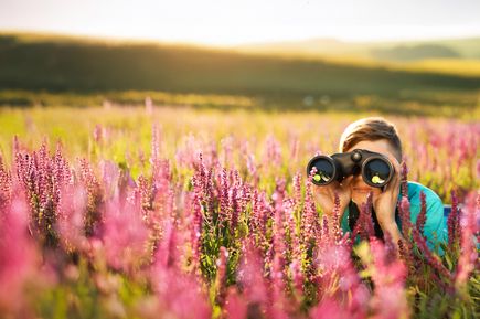 Eine Person liegt in einem Feld voller pinker Blumen und schaut durch ein Fernglas in die Ferne