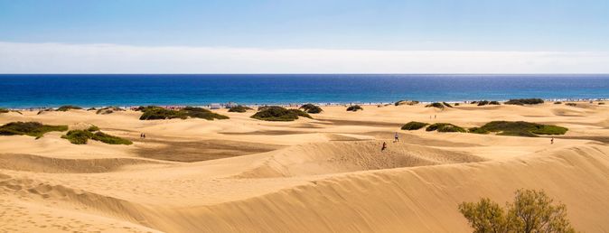 Sanddünenlandschaft mit vereinzeltem Buschwerk unter blauem Himmel am Meer