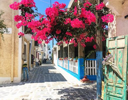 Enger gepflasterter Gassenabschnitt mit weiß getünchten Häusern, blau-weißem Geländer und einer großen Bougainvillea mit leuchtend roten Blüten