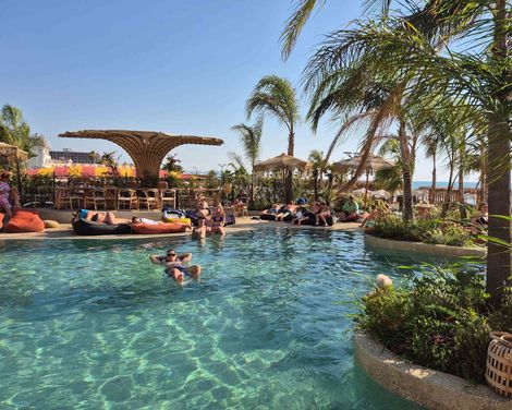 Epidamn White Sensation