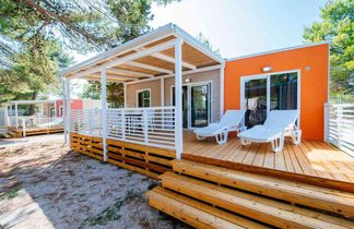 Zaton Holiday Resort Camping Homes