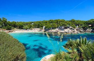 Badebucht Cala Ratjada auf Mallorca mit klarem Wasser, Felsen und grünen Pinien rund um den Strand