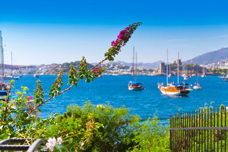 Sommerliche Aussicht auf den Hafen von Bodrum mit Segelbooten, blühender Bougainvillea und der Burg von Bodrum im Hintergrund