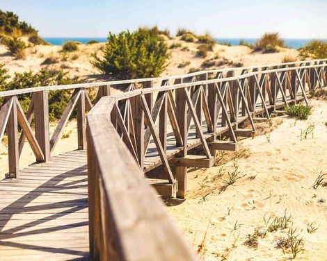 Valentín Sancti Petri Spa