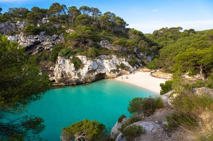 Blick auf die Cala Turqueta auf Menorca mit weißem Sandstrand, türkisblauem Meer und umgeben von grünen Pinienwäldern