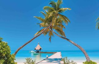 Canareef Resort Maldives