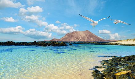 Klarer Strand auf Fuerteventura mit türkisfarbenem Wasser, dunklen Lavagesteinen, einer markanten Vulkanlandschaft und zwei fliegenden Möwen