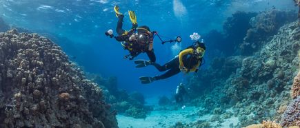 Zwei Taucher mit Tauchausrüstung und Kamera schwimmen über Korallenriff im klaren Wasser.