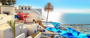 Weiß-blaue Gebäude des Café des Nattes in Sidi Bou Said in Tunesien mit Blick auf das Mittelmeer, Palmen und den Yachthafen