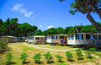 Arena Indije Campsite