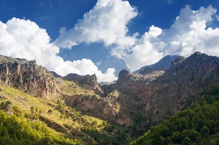 Blick auf die Serra de Tramuntana auf Mallorca mit steilen Felsformationen, grünen Pinienwäldern im Vordergrund und blauem Himmel mit weißen Wolken im Hintergrund